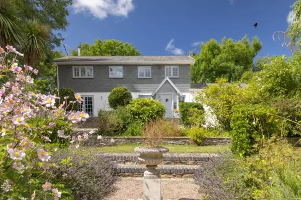 Stick Insects | Cornish Secrets