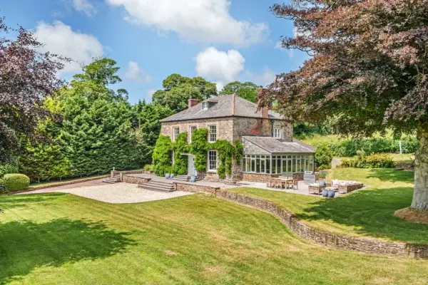 Stick Insects | Cornish Secrets