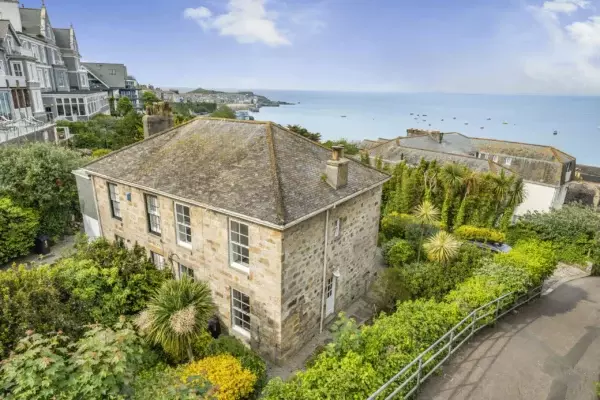 Stick Insects | Cornish Secrets