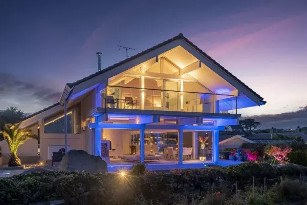 Stick Insects | Cornish Secrets