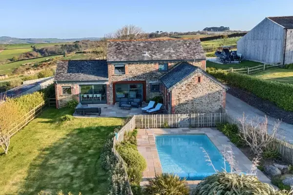 Stick Insects | Cornish Secrets