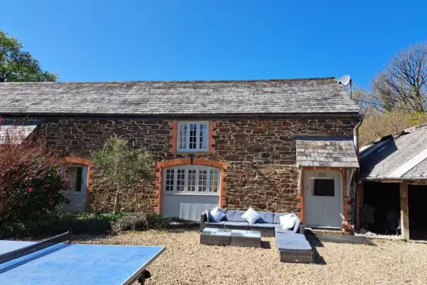 Stick Insects | Cornish Secrets