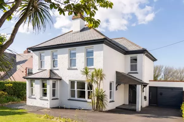 Stick Insects | Cornish Secrets