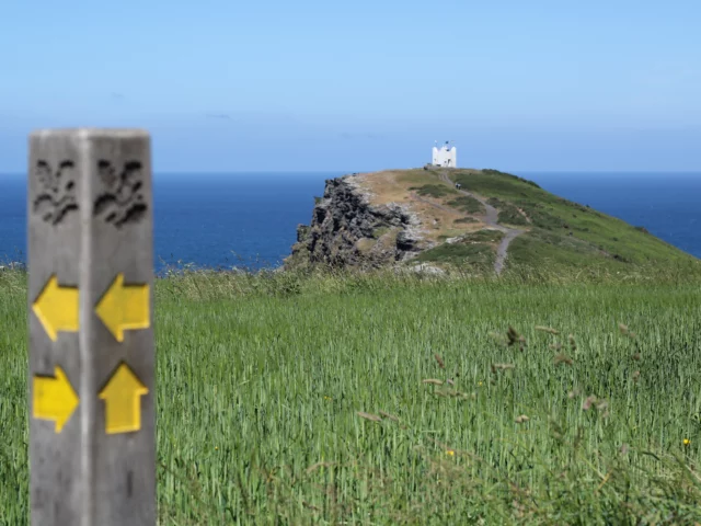 Willapark and Forrabury Stitches, North Cornwall. The imposing cliffs of Penally Point and Willapark guard either side of the entrance to Boscastle harbour. Adjoining the 317ft-high promonotory of Willapark, sits the ancient Forrabury Stitches. ©National Trust Images Rhodri Davies