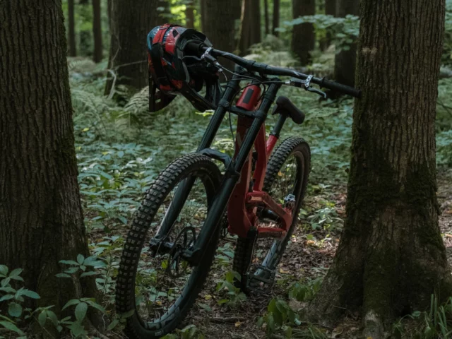 Bike in woods