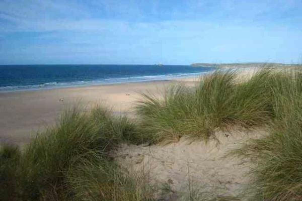 Dunes_and_beach_at_Mexico_Towans_-_geograph.org.uk_-_1505602